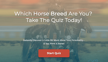 Which horse breed are you quiz