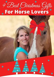 9 Best Christmas Gifts For Horse Lovers - EquiJuri