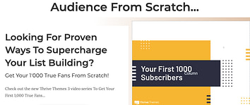 Audience From Scratch Thrive Themes