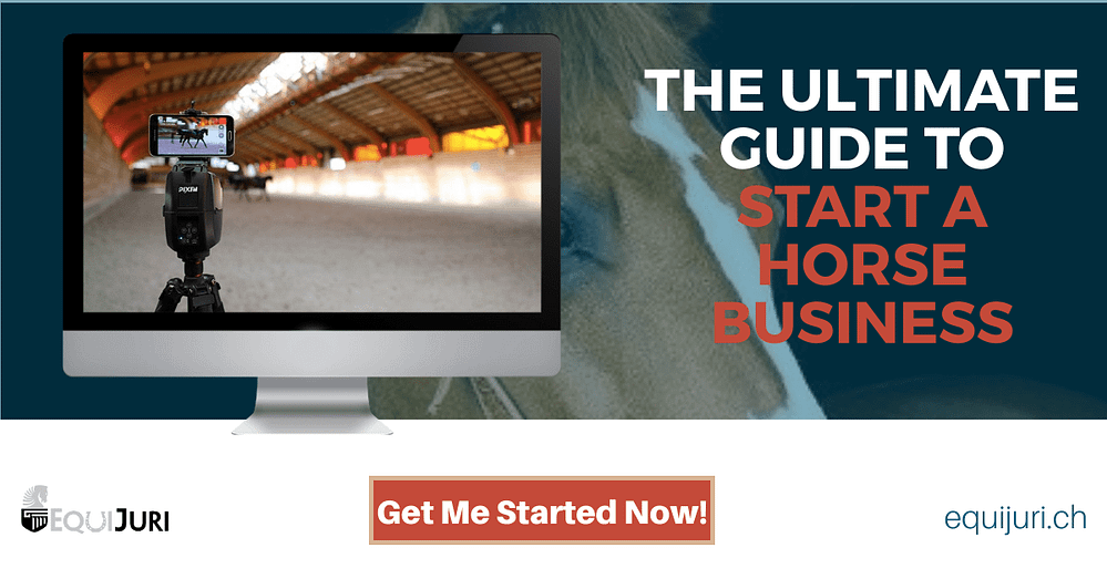 The Ultimate Guide To Start A Horse Business Equijuri
