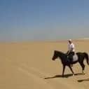 Mohamed Shahin Riding