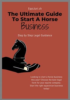 The Ultimate Guide to Start A Horse Business