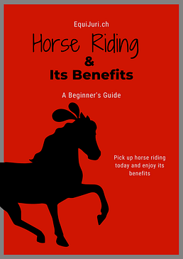 Horse Riding & Its Benefits